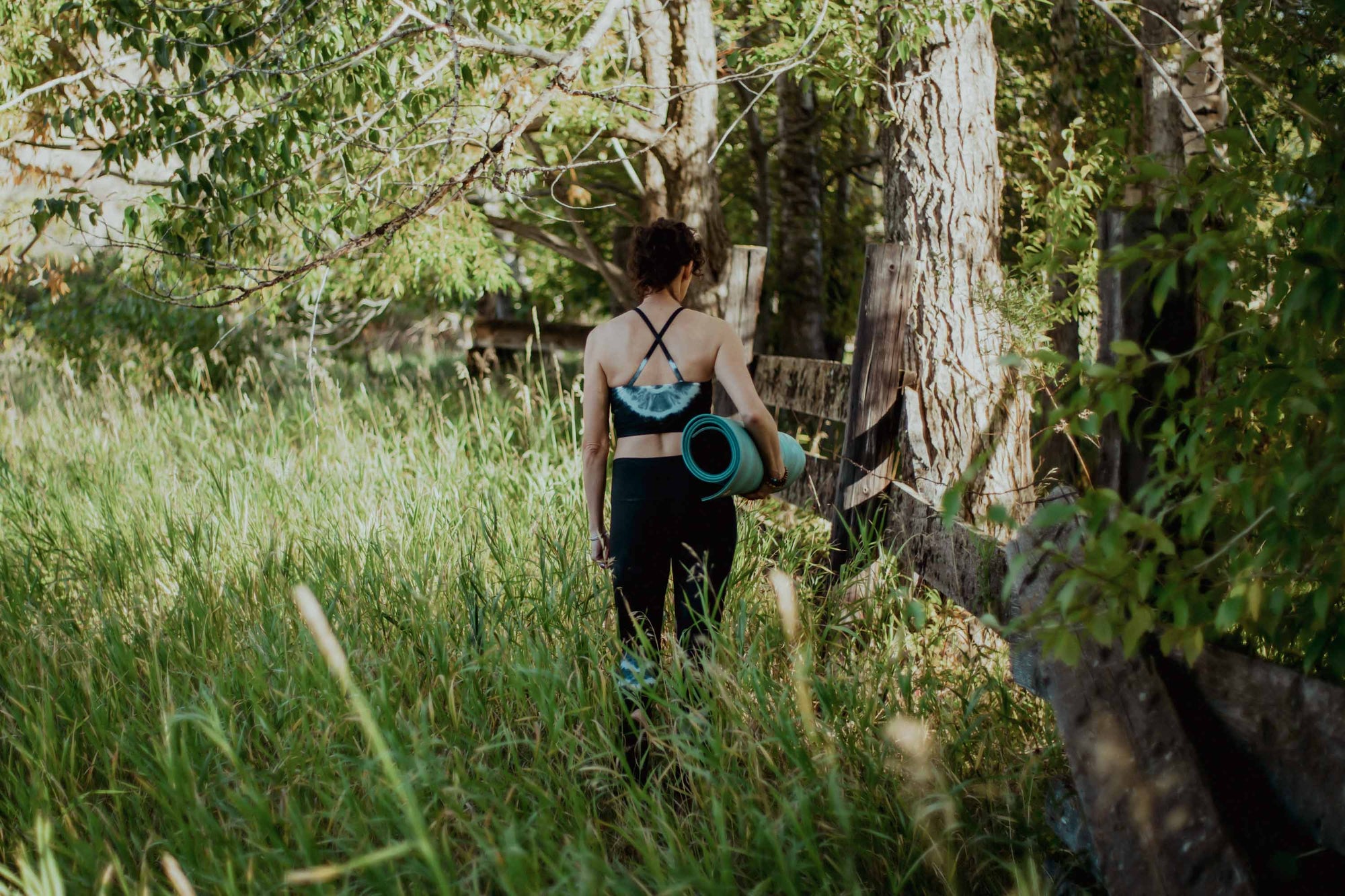 Getting Grounded This Fall: A Season of Slowing Down & Rooting In