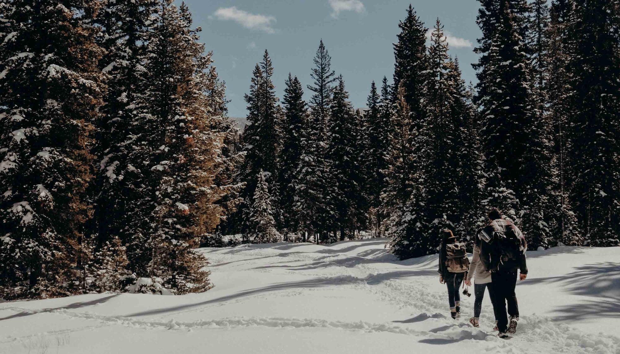 Breaking Barriers by Breaking a Sweat