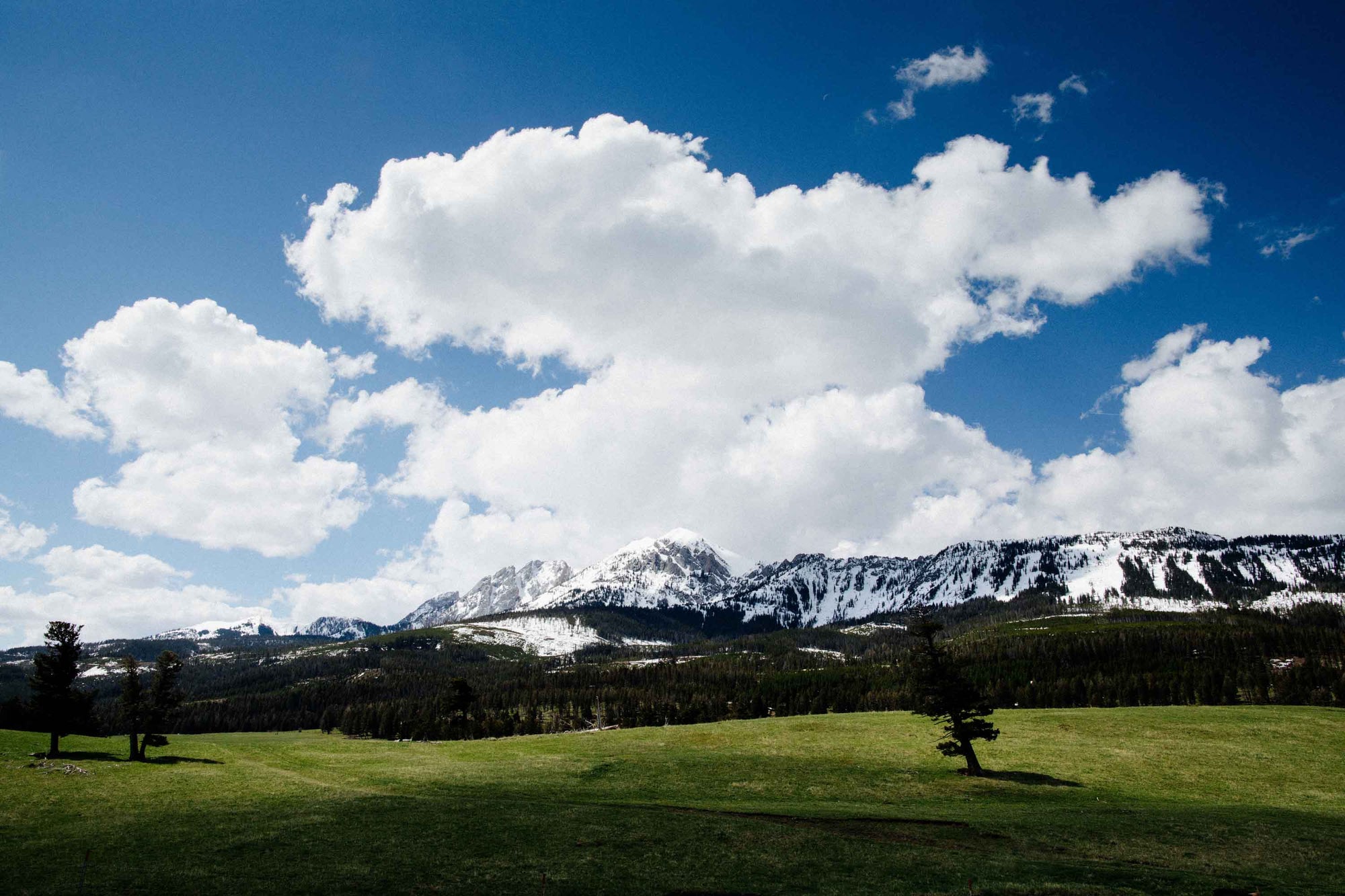 Spring Cleaning & Cleansing (for Mind, Body & Soul)