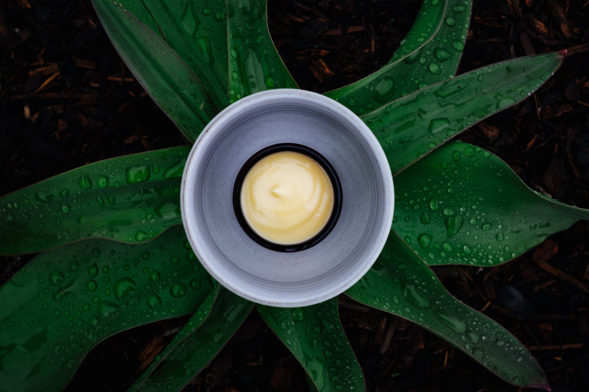 How Stress Shows up on Your Skin (and How to Calm it the Organic Way)