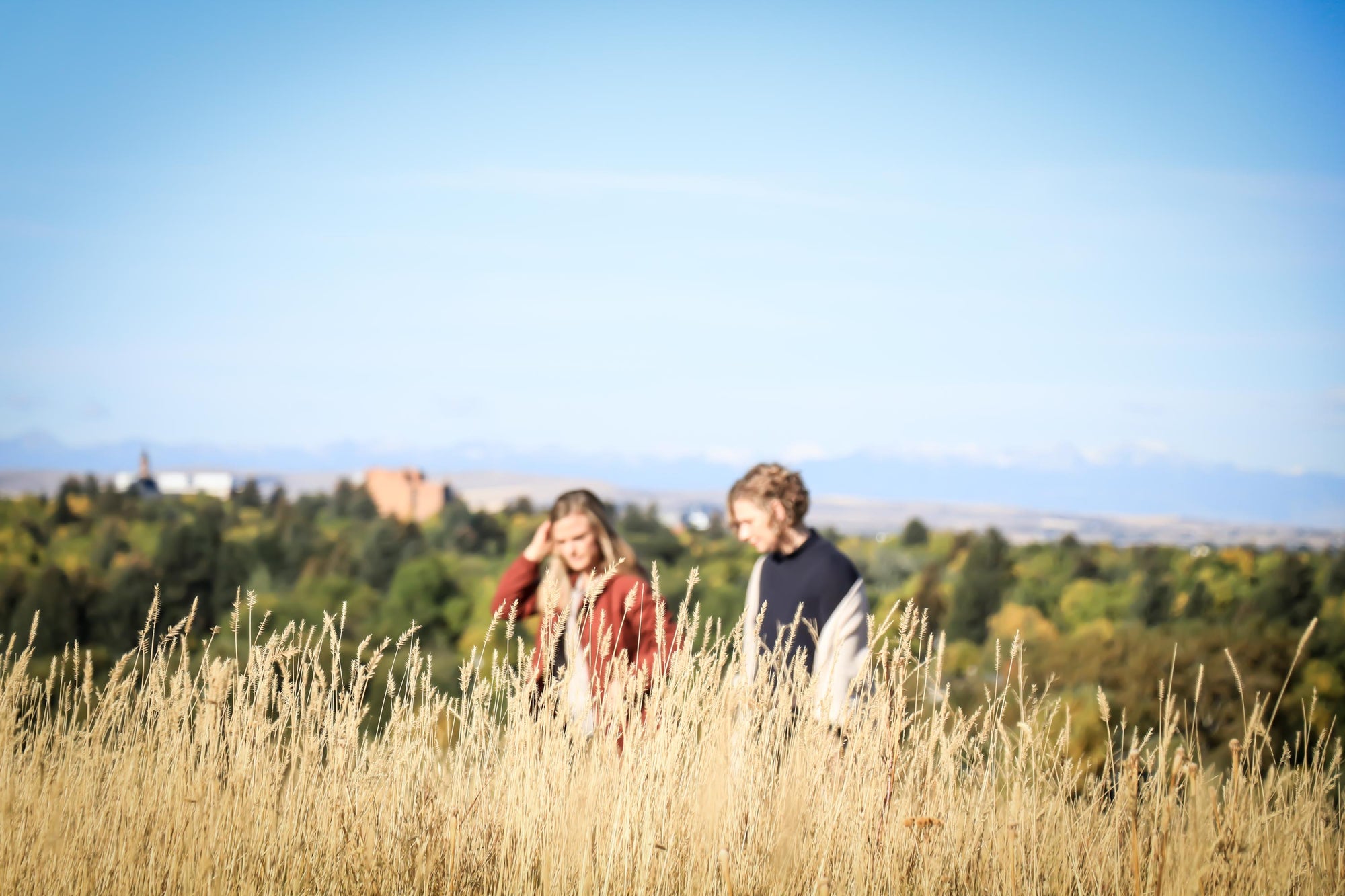 Disconnect to Connect