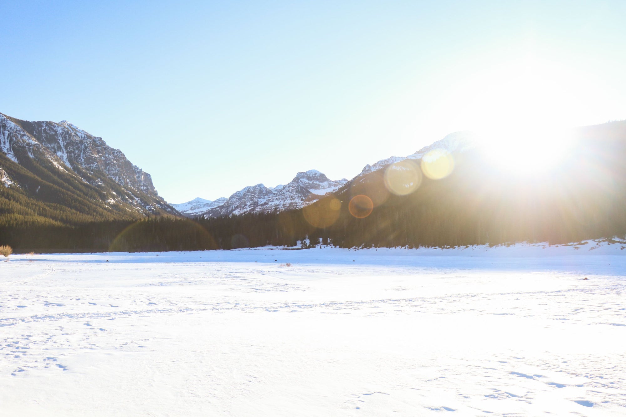 Embracing Selfishness