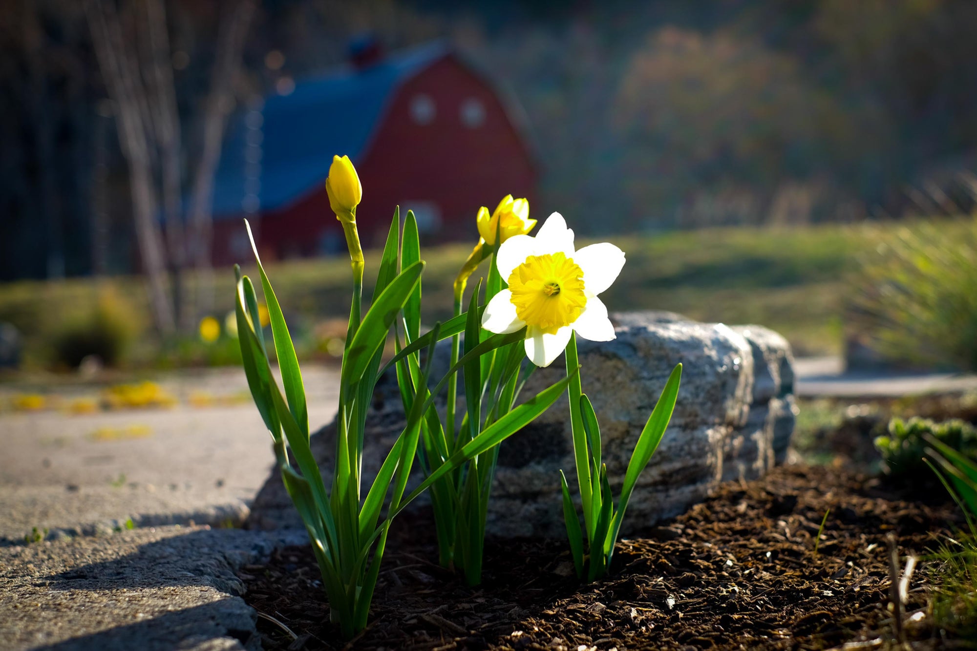 Outer Order, Inner Calm