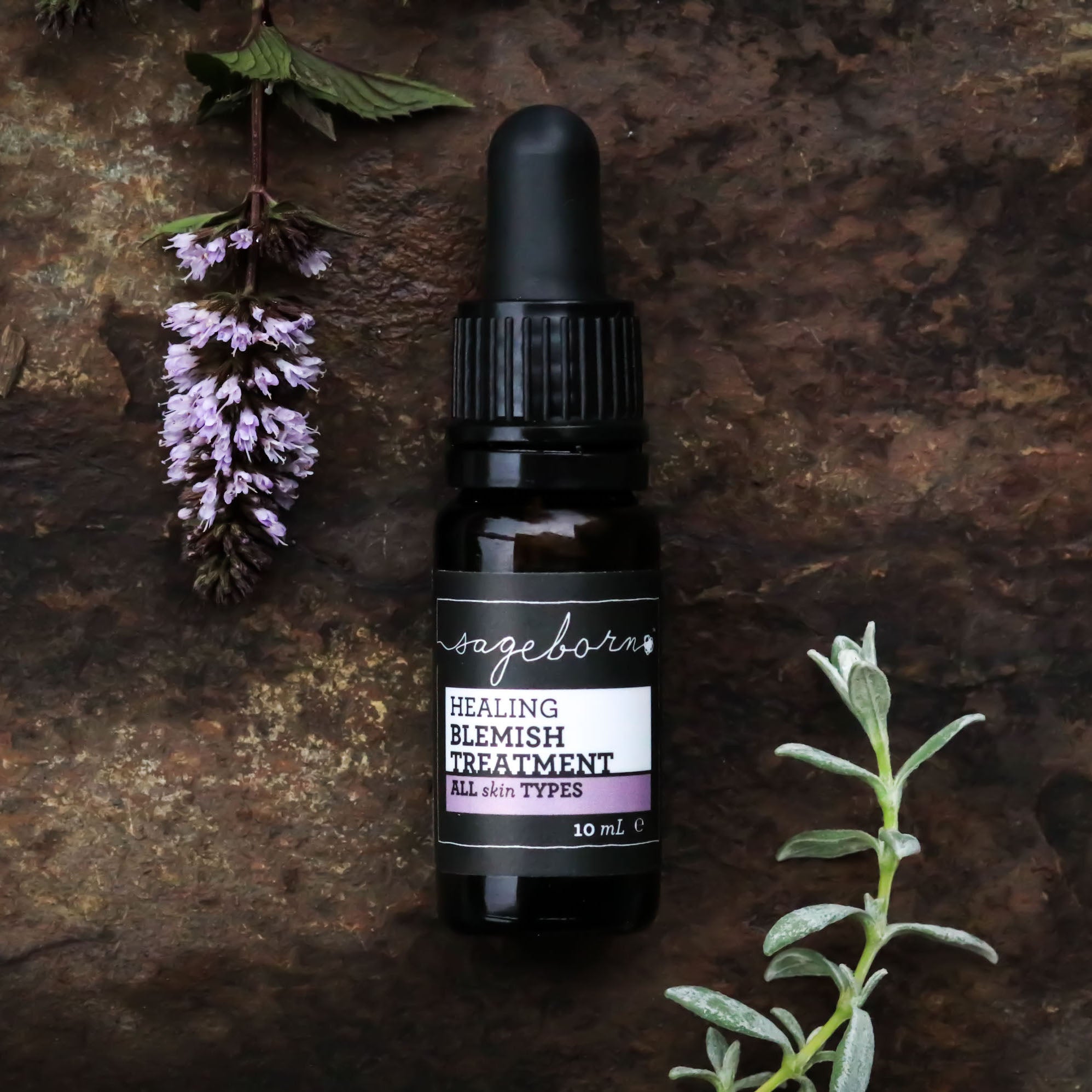 Healing Blemish Treatment organic skin care, front of bottle on stone with plants